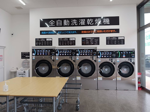 Photo from customer review